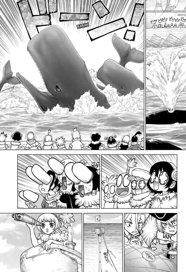 Dr. Stone Chapter 147 17